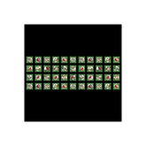 Winter Garden 3 x 3 inch stamps - 2825-99